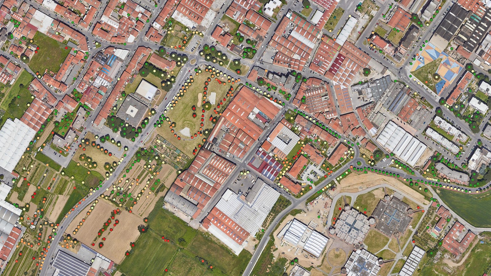 Monitoraggio satellitare alberi urbani: TreeSOS per i Comuni — guida pratica di Pietro Maroè